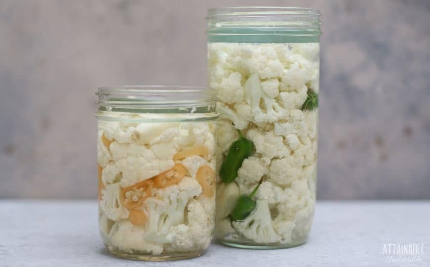 Easy to Follow Fermentation Recipes For Beginners 5 cauliflower fermenting for beginners