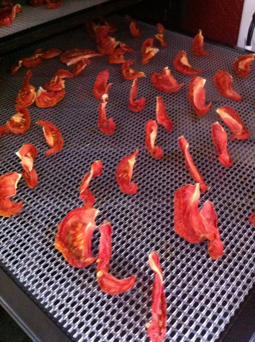 dehydrate dried tomatoes dehydrated tomatoes on a dehydator sheet