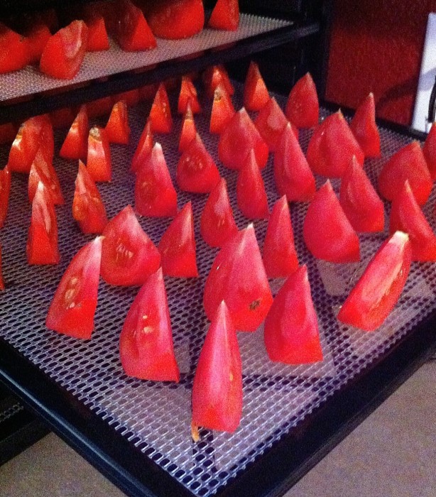 dehydrate tomatoes tomato quarters on a dehydrator sheet