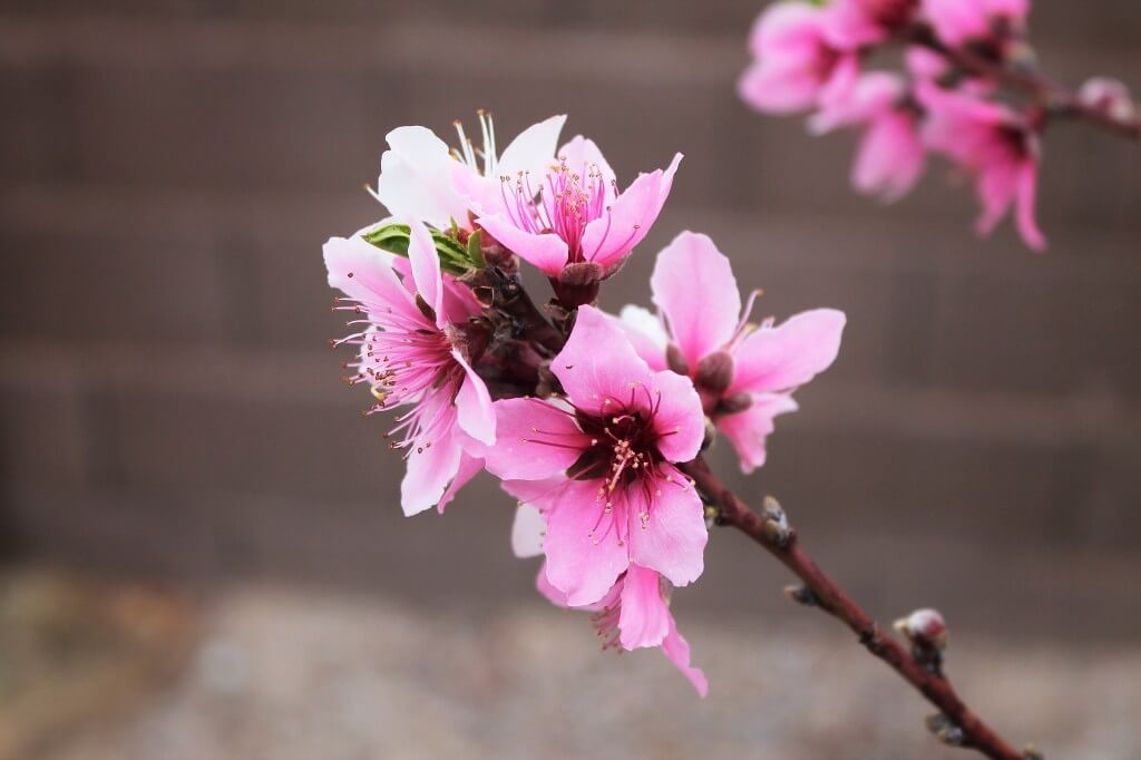 10 Things You Should Know About Me 5 IMG_4342