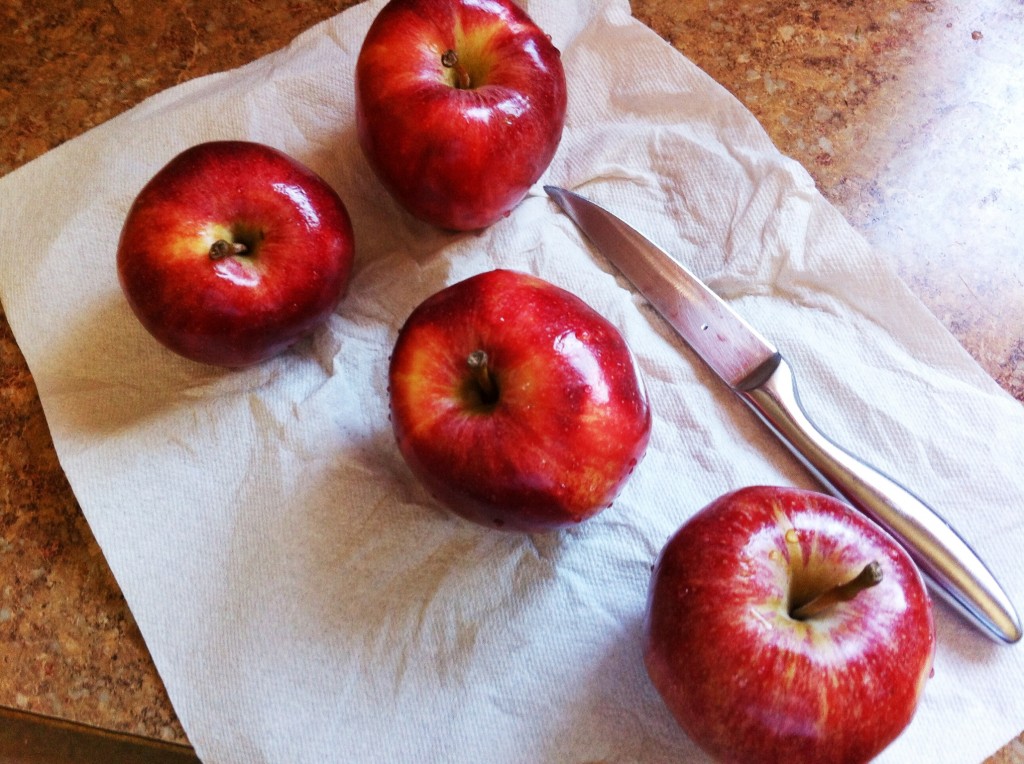 Fresh Homemade Applesauce Tutorial 10 How to make fresh homemade applesauce