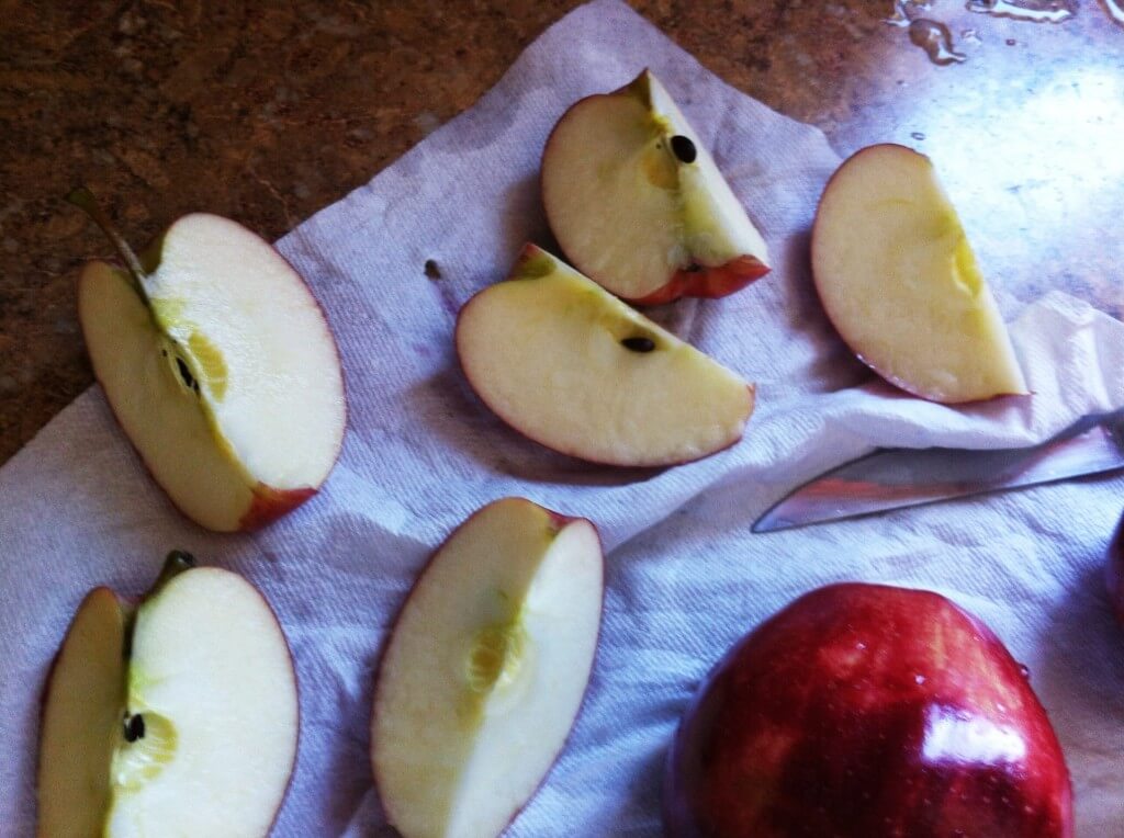 Fresh Homemade Applesauce Tutorial 11 Fresh homemade applesauce