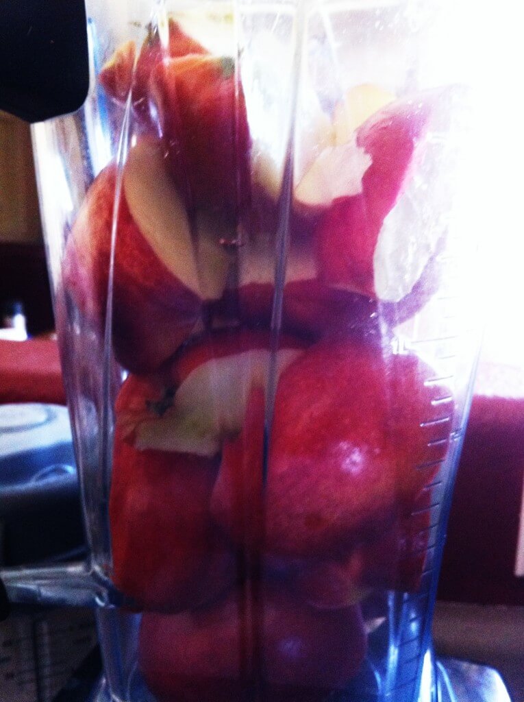 Fresh Homemade Applesauce Tutorial 12 Fresh Homemade Applesauce