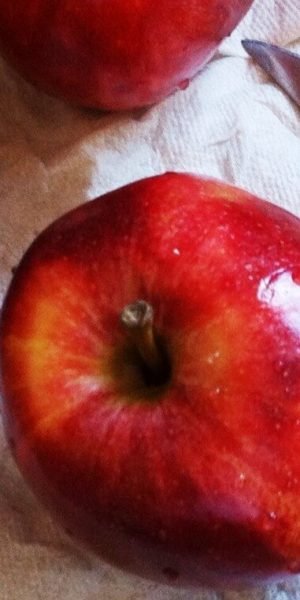 Fresh Homemade Applesauce Tutorial