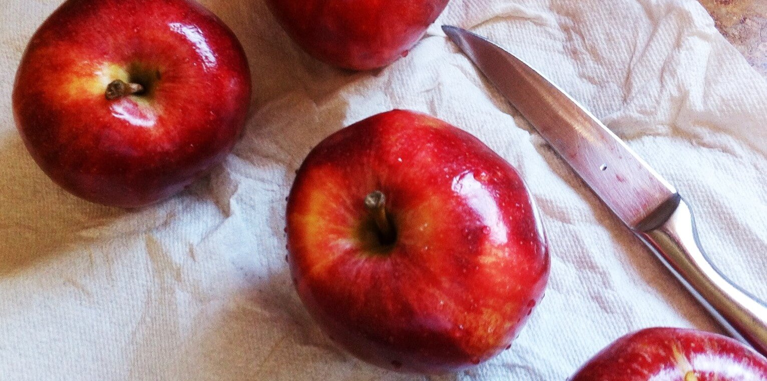 Fresh Homemade Applesauce Tutorial 8 Learn how to make your own fresh homemade applesauce, quick and easy!