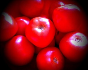 Top 13 from 2013 5 image8-e1360216416355