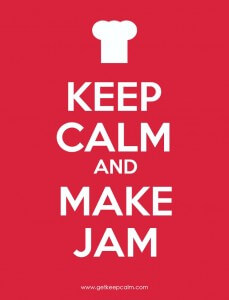 The Easiest Way to Make Homemade Jelly and Jam 15 The easiest way to make homemade jams and jellies