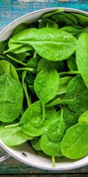 Leftover Greens: How to Avoid the Guilt of the Wilt