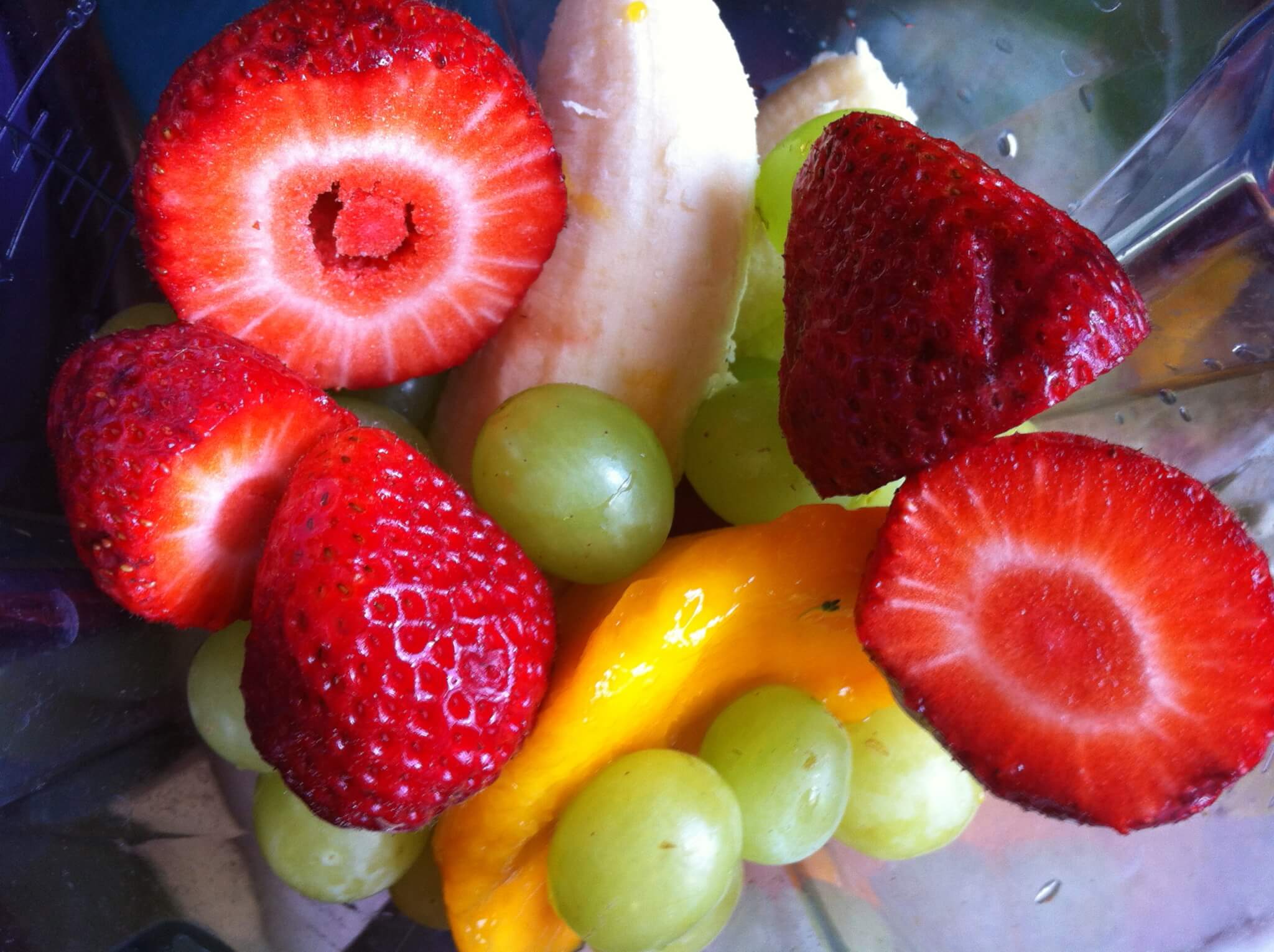 Healthy Homemade Fruit Roll-Ups 15 dehydrated fruit roll ups