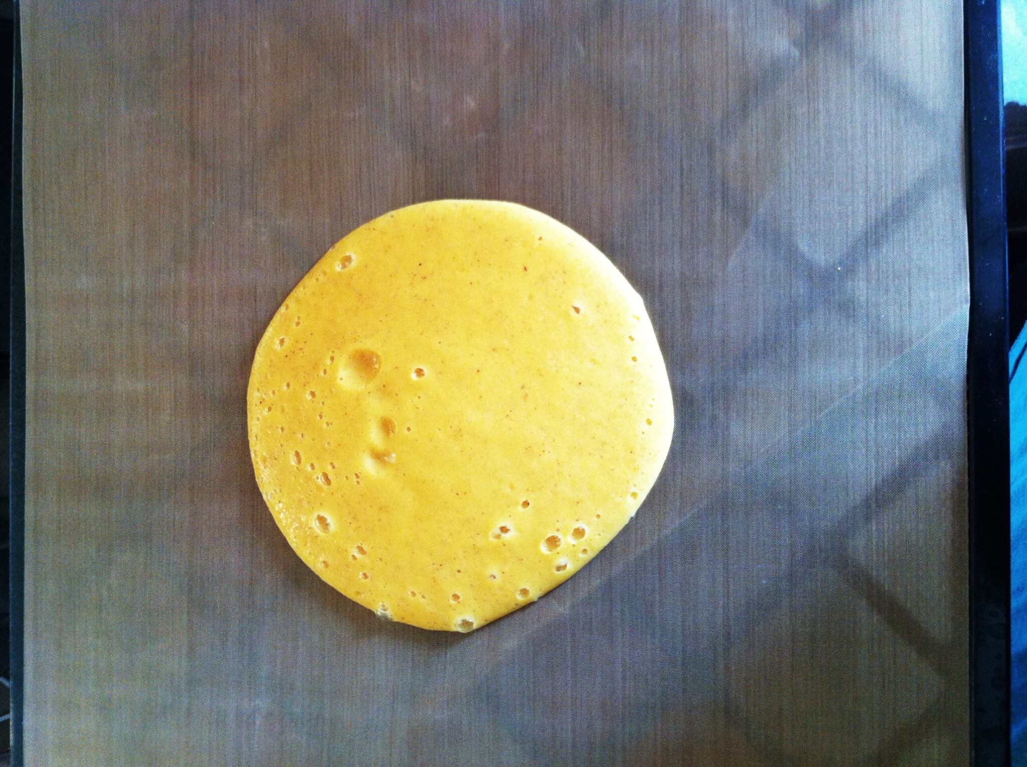 Healthy Homemade Fruit Roll-Ups 18 dehydrated jello