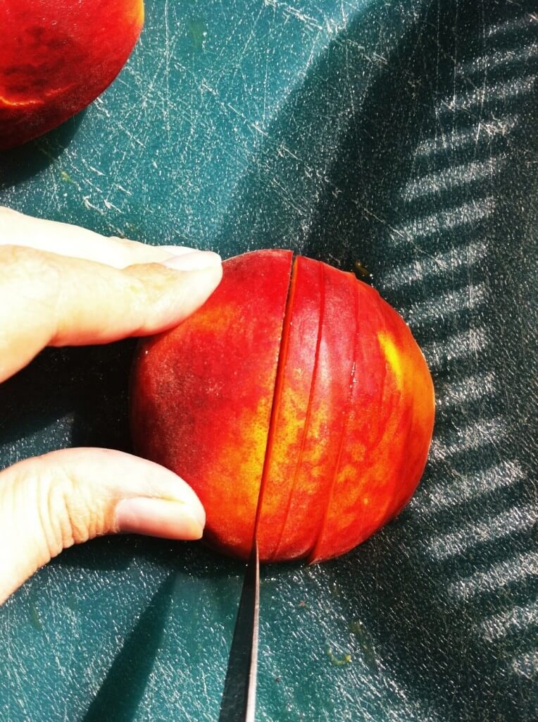 How to Dehydrate Peaches 5 How to Dehydrate Peaches