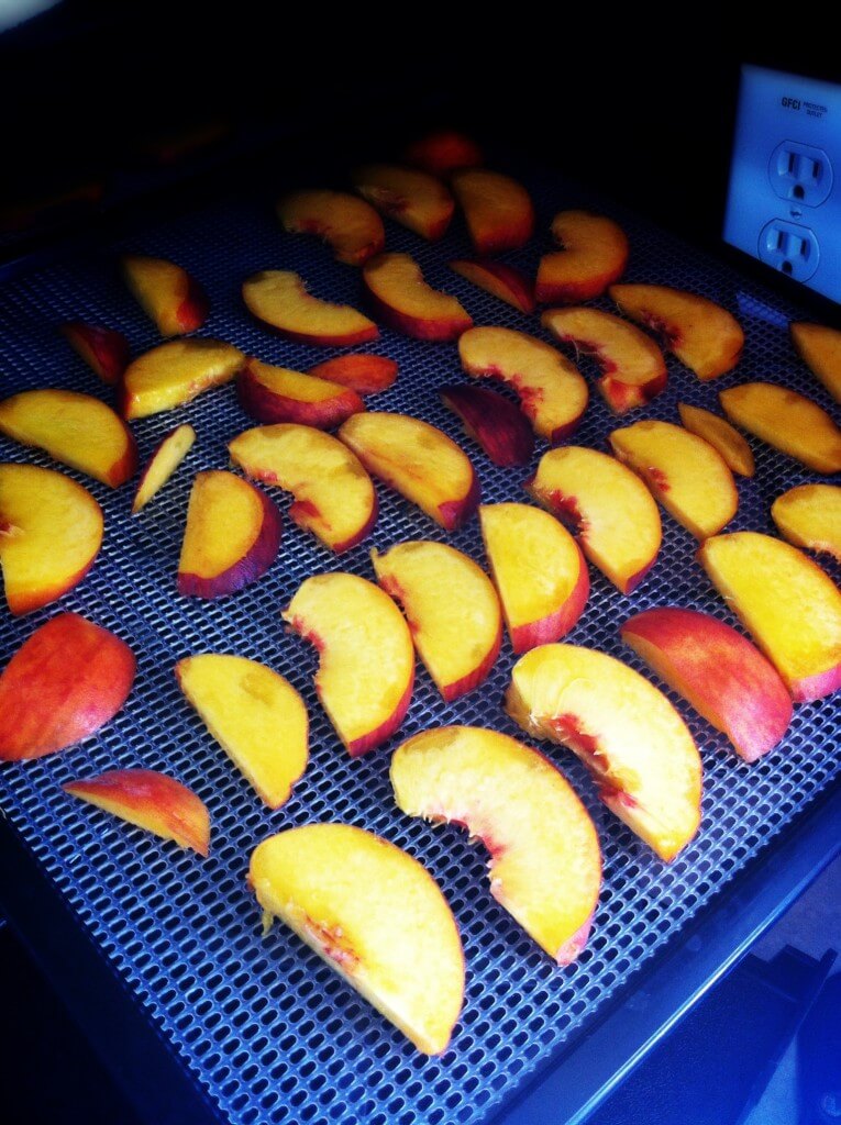 How to Dehydrate Peaches 7 How to Dehydrate Peaches