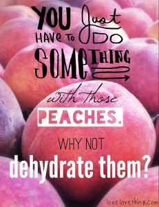 Top 13 from 2013 7 How to Dehydrate Peaches