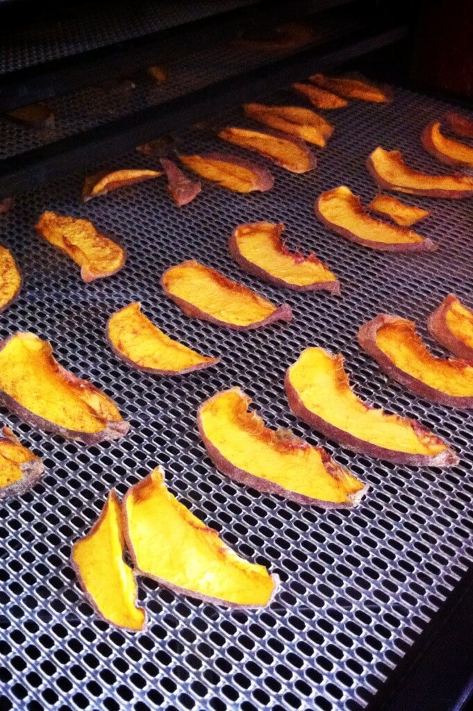 How to Dehydrate Peaches 8 How to Dehydrate Peaches