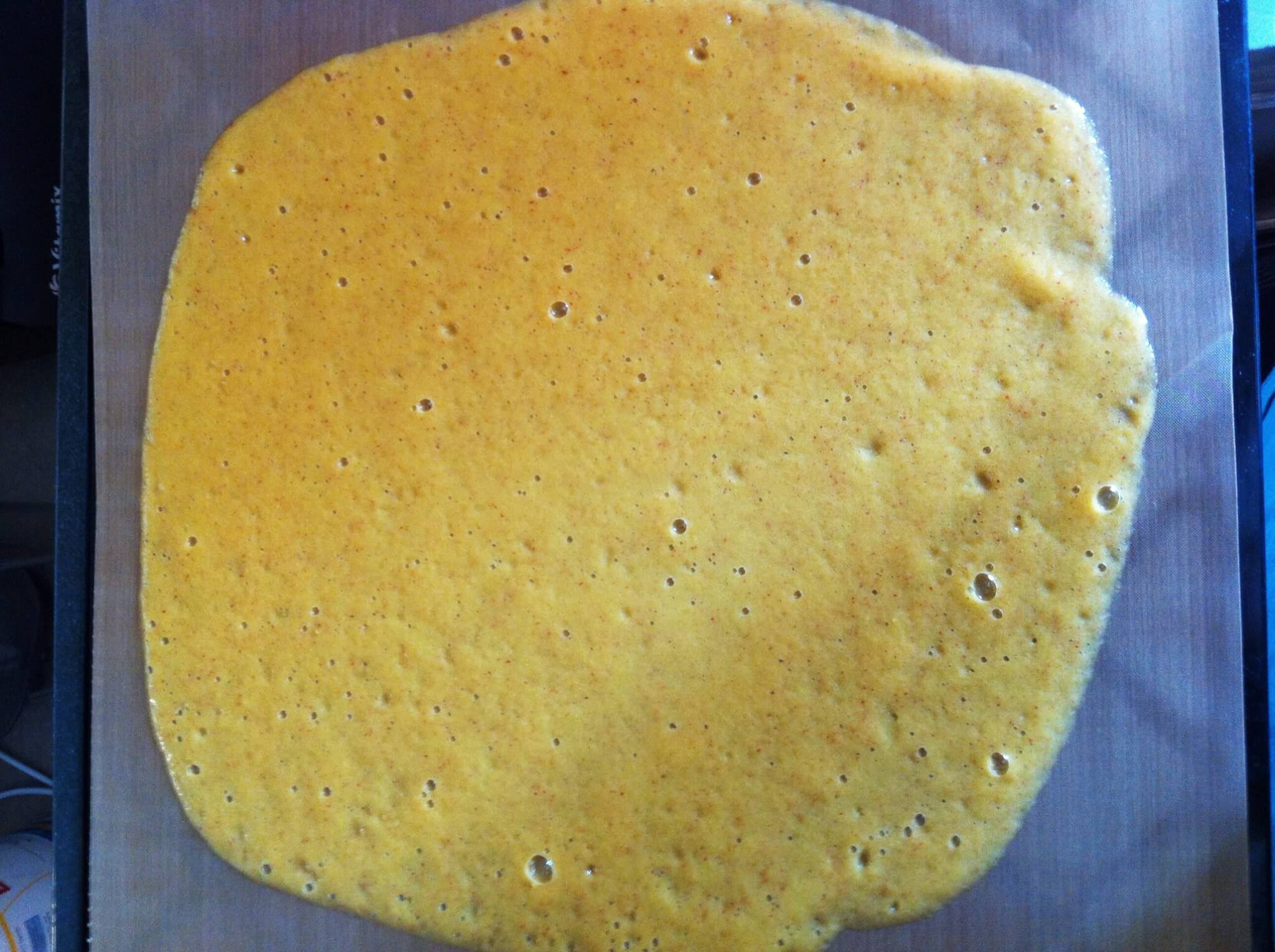 Healthy Homemade Fruit Roll-Ups 19 fruit roll up recipe