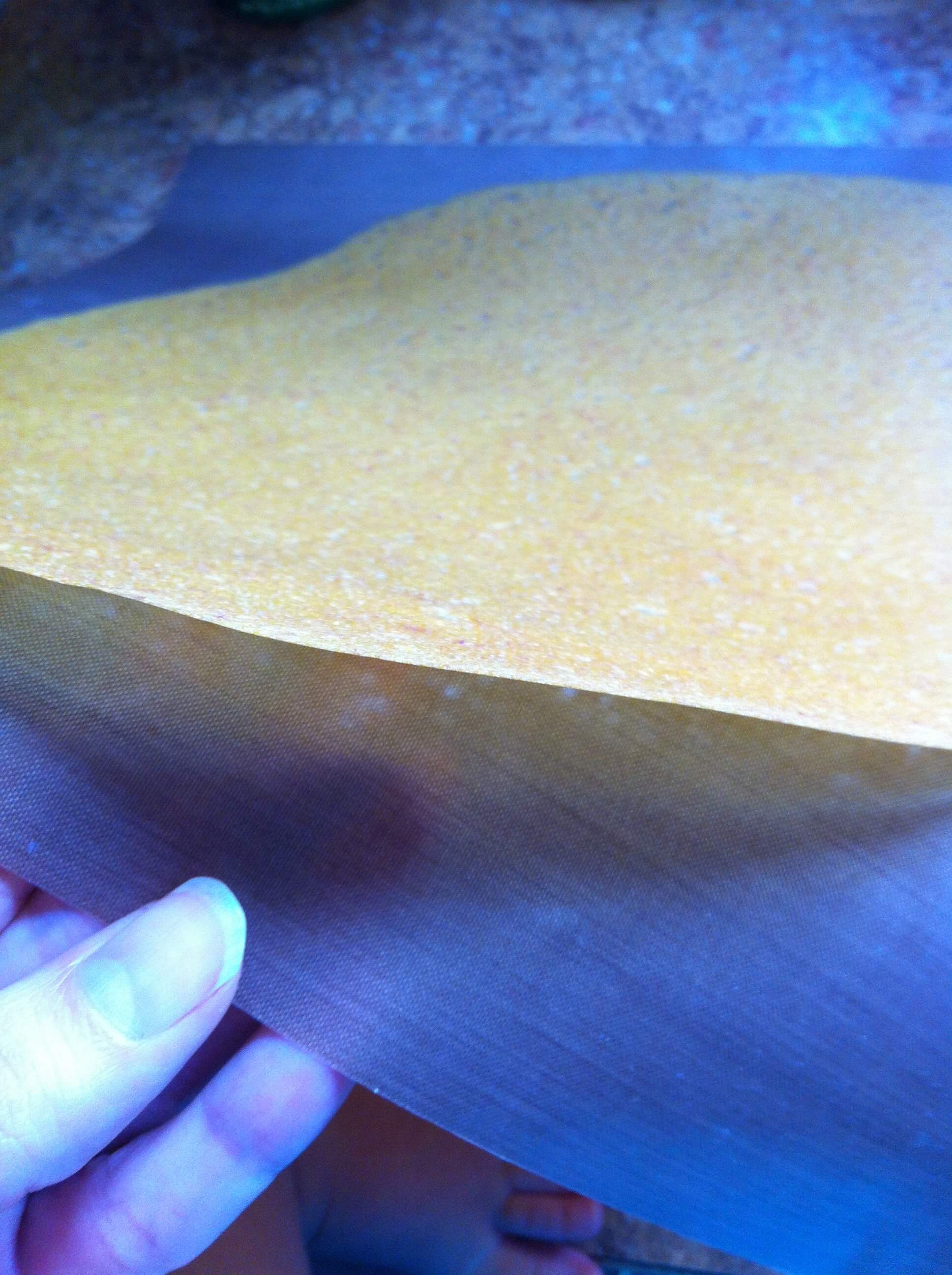 Healthy Homemade Fruit Roll-Ups 20 fruit roll ups in dehydrator