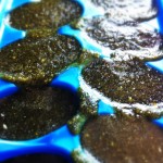 Leftover Greens: How to Avoid the Guilt of the Wilt 5 Greens Gone Bad - how to avoid the guilt of the wilt