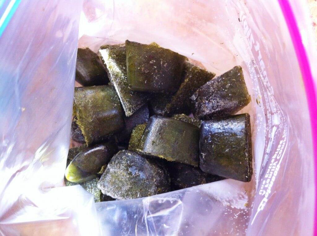 Leftover Greens: How to Avoid the Guilt of the Wilt 6 Greens Gone Bad - what to do with leftover greens