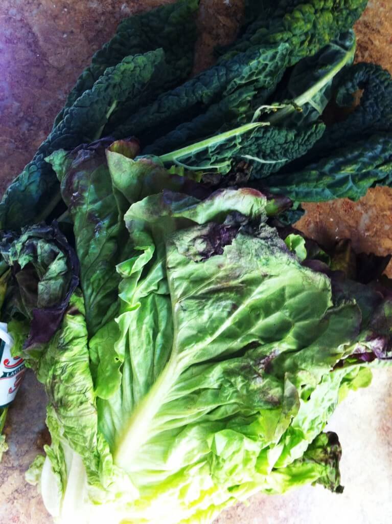 Leftover Greens: How to Avoid the Guilt of the Wilt 3 leftover greens