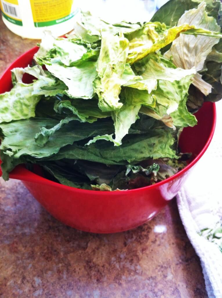 Leftover Greens: How to Avoid the Guilt of the Wilt 8 Leftover greens - how to avoid the guilt of the wilt