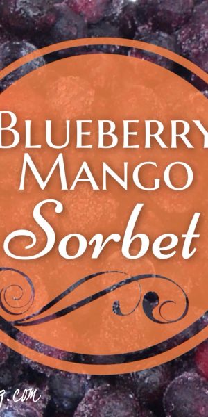 Blueberry Mango Sorbet Recipe