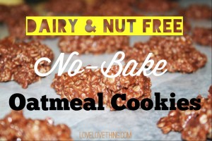 Top 13 from 2013 9 Dairy & Nut Free No Bake Oatmeal Cookies