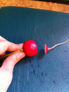 How to Dehydrate Radishes 3 How to dehydrate radishes.