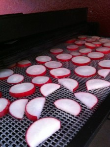 How to Dehydrate Radishes 5 How to dehydrate radishes.