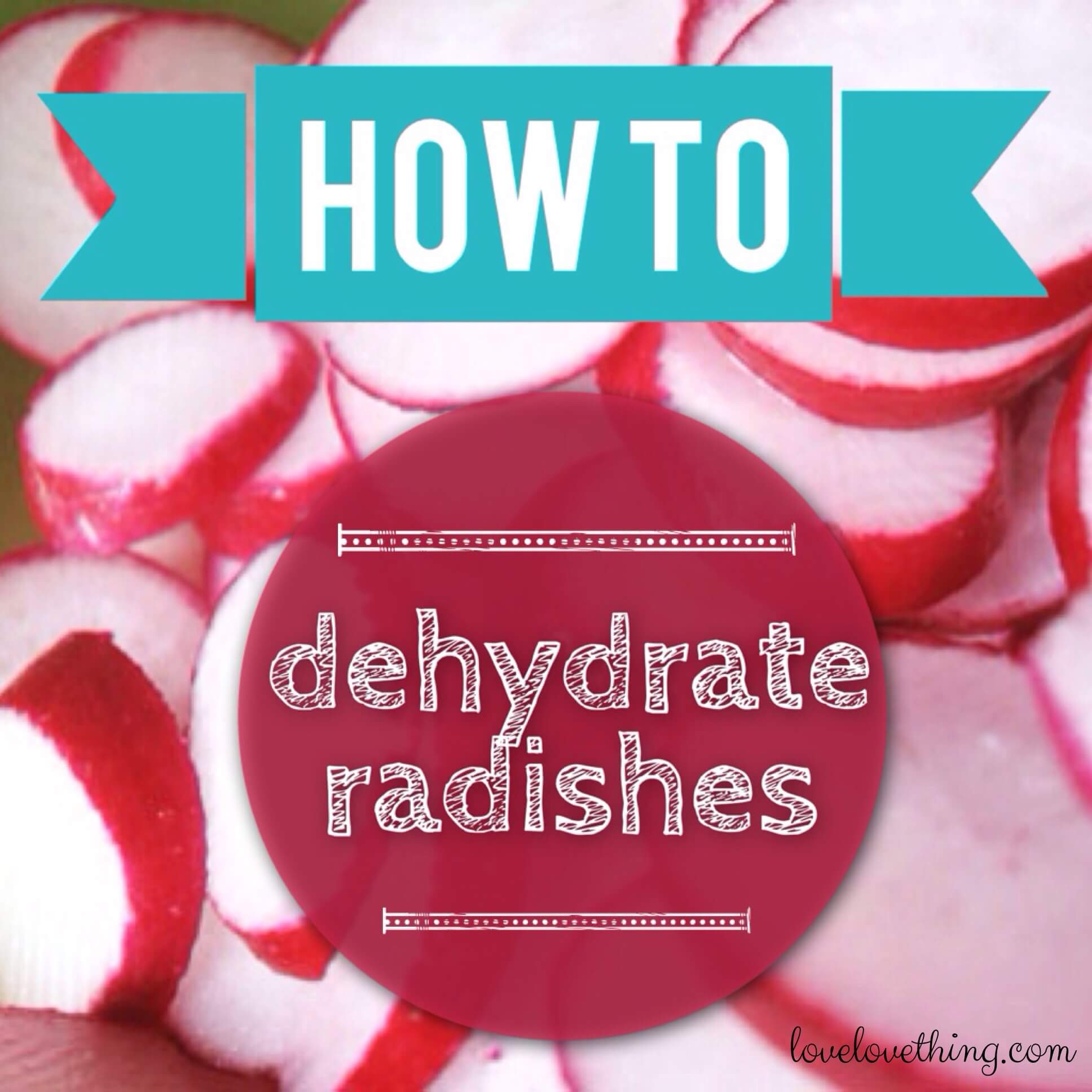 How to Dehydrate Radishes 24 How to dehydrate radishes.