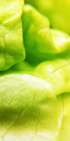 What to Give the Real Foodie in Your Life