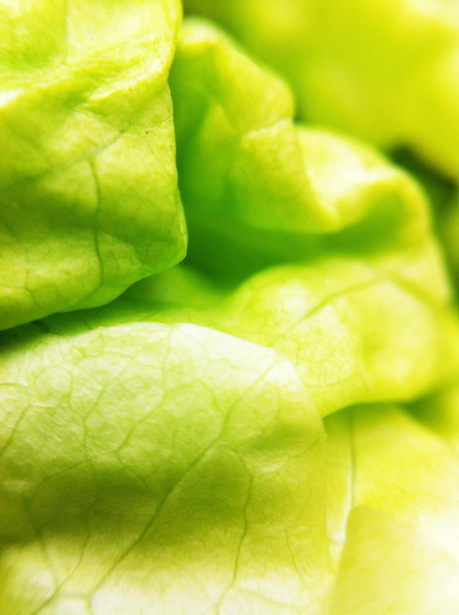 What to Give the Real Foodie in Your Life 1 What to give the real foodie in your life...