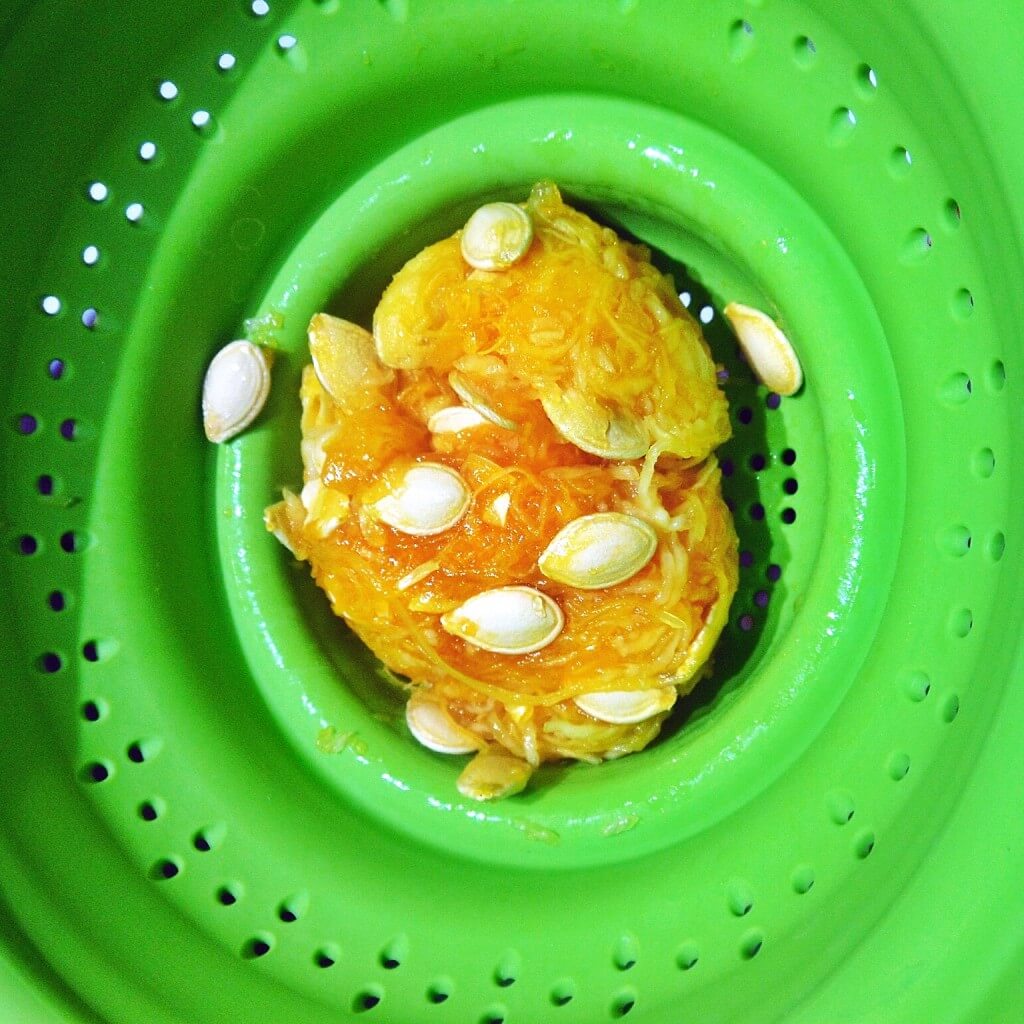 How to Roast Pumpkin Seeds & Squash Seeds 4 How to roast squash or pumpkin seeds!