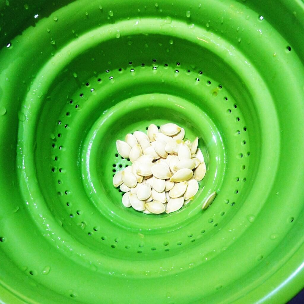 How to Roast Pumpkin Seeds & Squash Seeds 5 How to roast pumpkin and squash seeds.