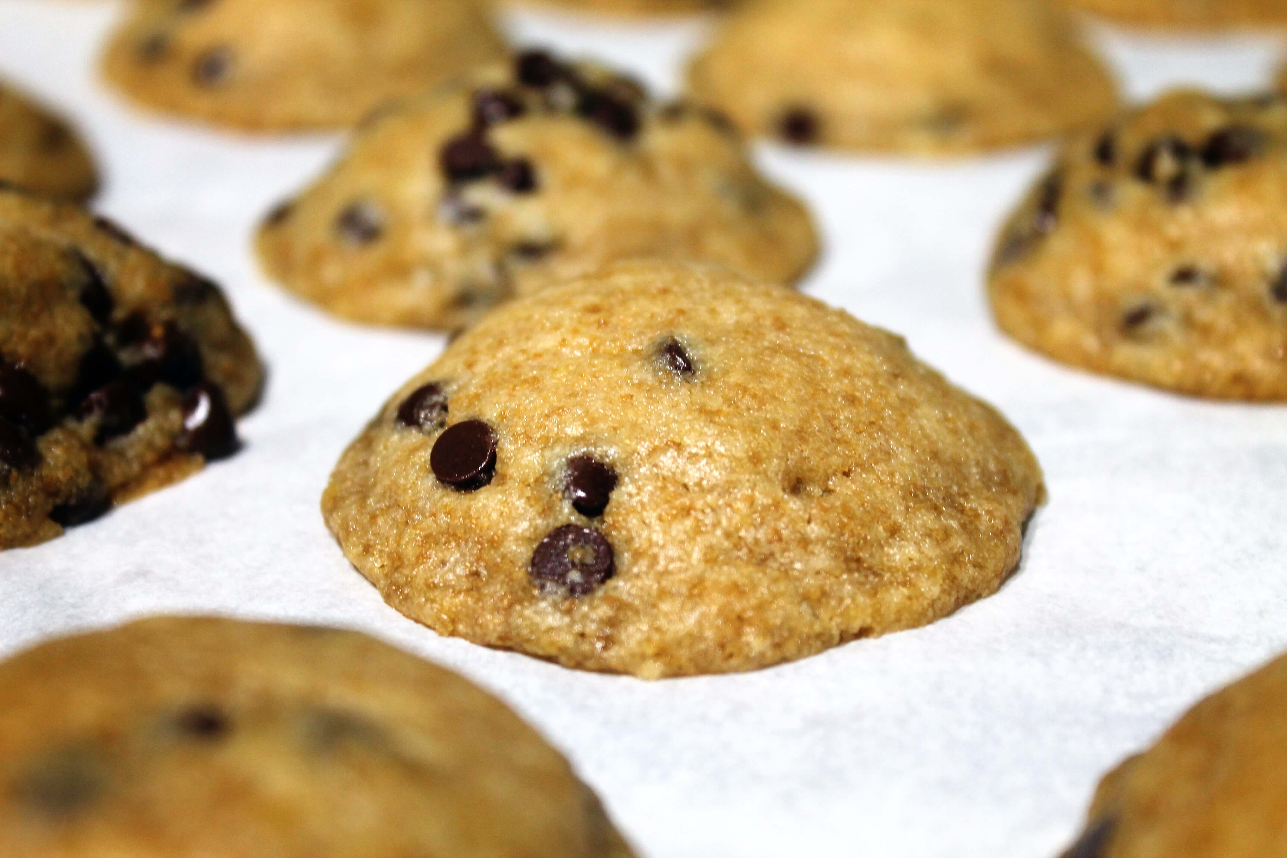 Ultimate Chocolate Chip Cookies - Nut Free, Dairy Free and Egg Free 10 Best dairy-free, egg-free, nut-free chocolate chip cookies
