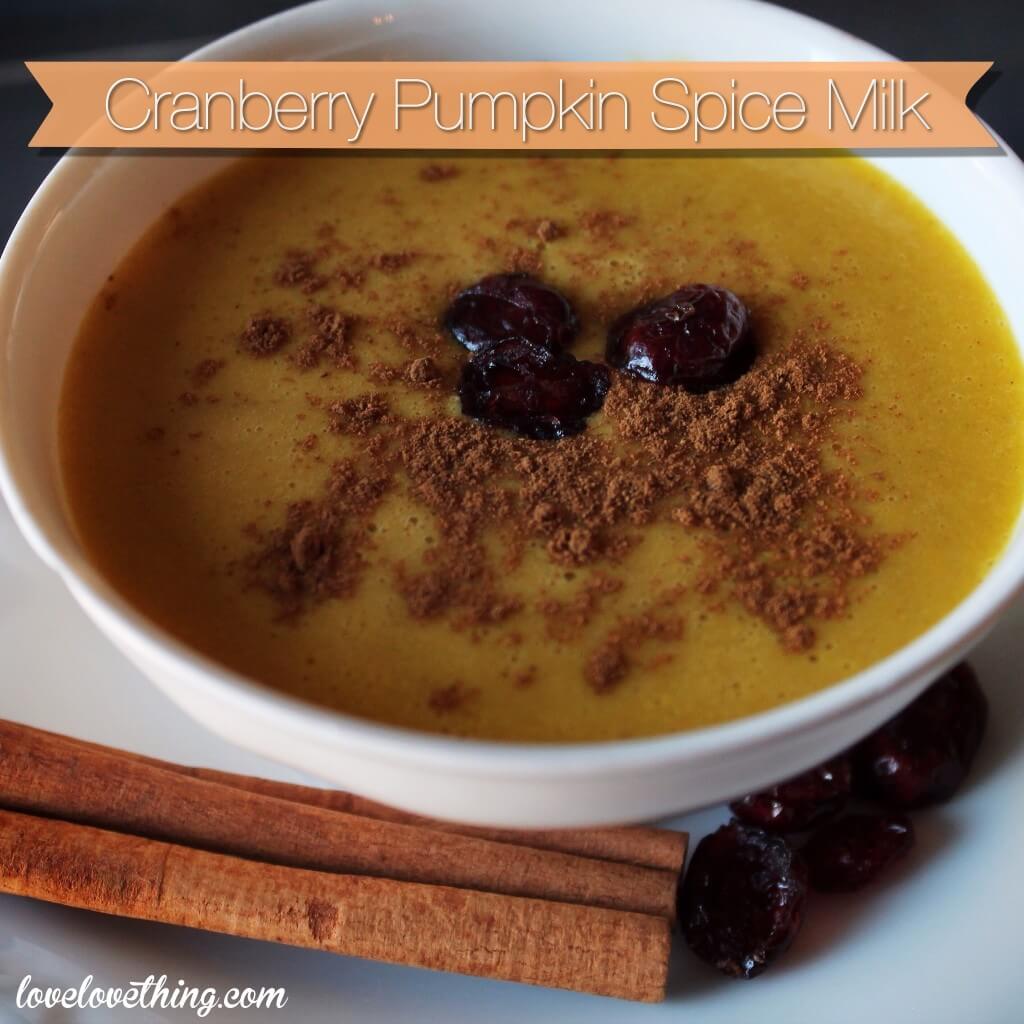 Cranberry Pumpkin Spice Milk - A Dairy-Free Holiday Drink 4 Cranberry Pumpkin Spice Milk - a warm, cozy holiday drink