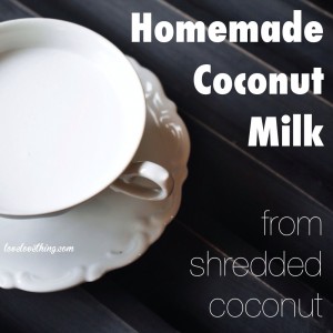 Top 13 from 2013 12 How to make your own coconut milk from shredded coconut