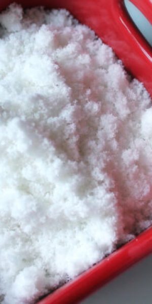 Homemade Coconut Flour