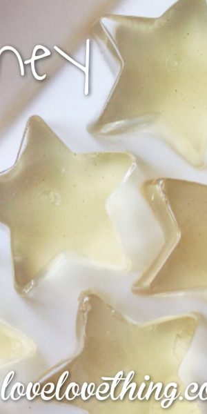 Week 8 on the GAPS Intro Diet