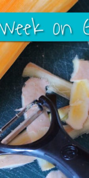 Our First Week on the GAPS Intro Diet