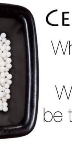 Cell Salts: The Easy Homeopathy