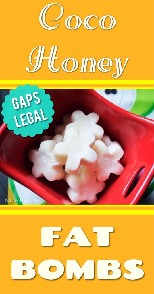Coco Honey Fat Bombs - GAPS-Legal 4 Coco Honey FAT BOMBS - GAPS-legal