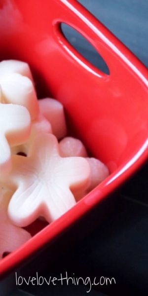 Coco Honey Fat Bombs – GAPS-Legal