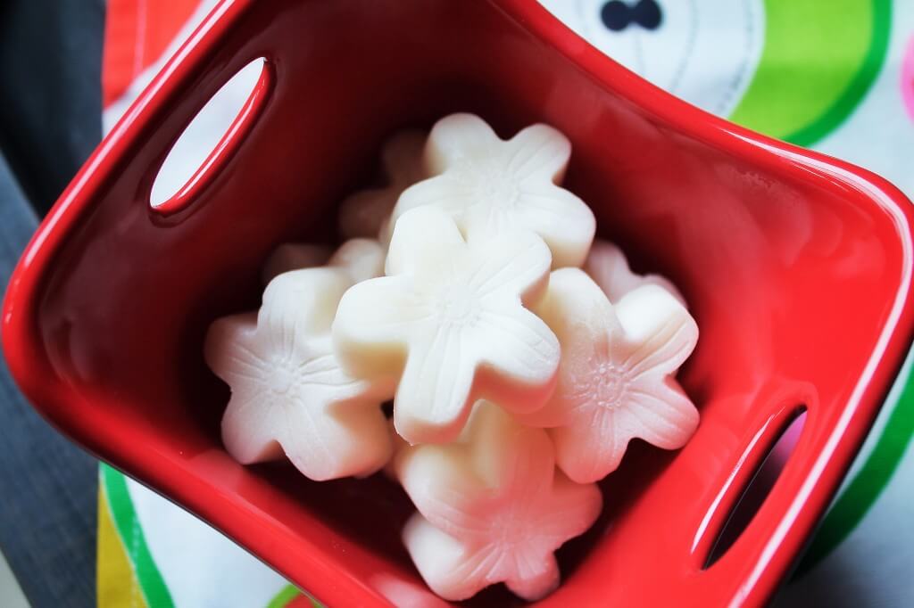 GAPS Intro Diet Week 2 2 Coco Honey Fat Bombs - GAPS-legal