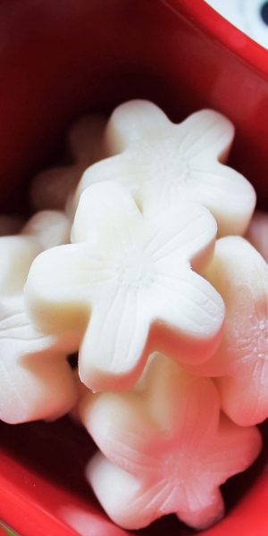 Week 9 on the GAPS Diet