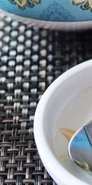 Week 6 on the GAPS Intro Diet