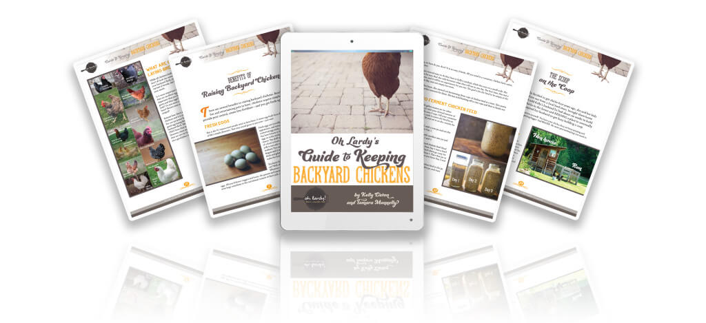 I Dream of Chickens with the Light Brown Eggs 4 130804 Tablet Computer White on dark background with traced palm