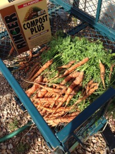 Week 8 on the GAPS Intro Diet 3 Week 8 on the GAPS Intro Diet