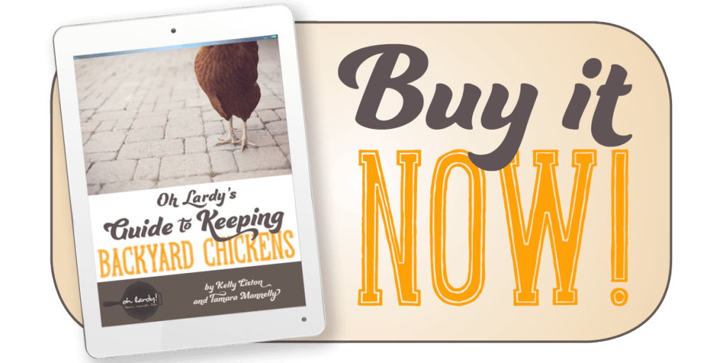 I Dream of Chickens with the Light Brown Eggs 2 buyitnow 300x150 B