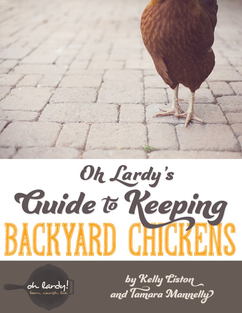 I Dream of Chickens with the Light Brown Eggs 2 chicken-book-cover-791x1024