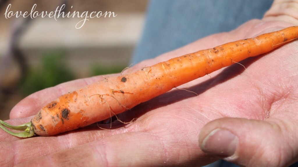 What's it Like on the GAPS Intro Diet? 2 What's it like on the GAPS intro diet?